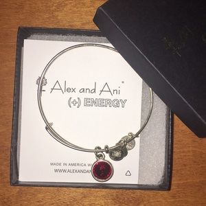Garnet Birthstone Alex and Ani (+) ENERGY bracelet